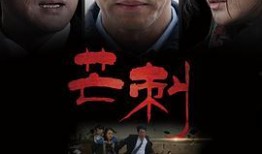 刺 完整版在线观看,揭秘暗影世界的惊悚之旅